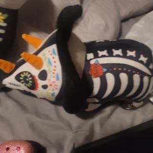 Rare homerbest sample triceratops